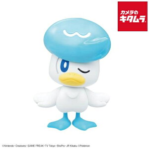 o_C |Pv19 NCbNII NbX s[1|2Tԁt