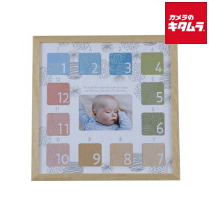 �i�J�o���V F-TW-109-NA �����|�A �ؐ��t�H�g�t���[�� 1�� �i�`������