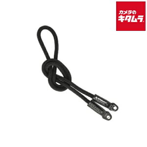 ARTISAN&ARTIST ACAM-301A �V���N�R�[�h�X�g���b�v �u���b�N �J�����A�N�Z�T���[ �s�[������t