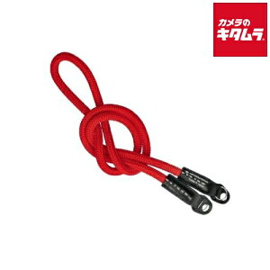 ARTISAN&ARTIST ACAM-301A VNR[hXgbv bh s[t