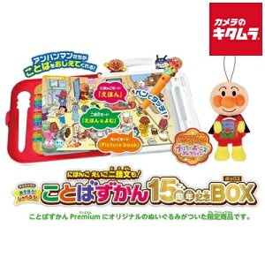 セガフェイブ アンパンマン にほんご えいご 二語文も!あそぼう!しゃべろう! ことばずかん15周年記念BOX