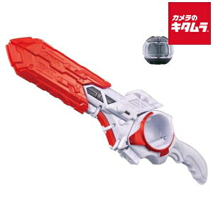 o_C ʃC_[[bc DXuCJoX^[ s2025N1129\t