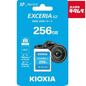 LINVA KSDU-B256G SDJ[h 256GB