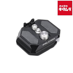 Falcam 3810 F38&F50 �f���A���N�C�b�N�����[�X�v���[�g