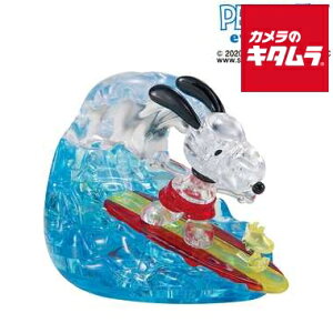 ro[ 50258 Xk[s[ T[tB s[t