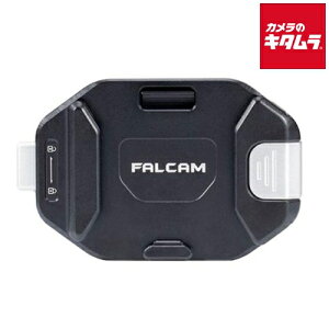 Falcam 3802 F38BP�pQRV2�x�[�X �s�[����1�����t
