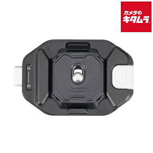 Falcam 3803 F38BP�pQRV2�L�b�g �J�����A�N�Z�T���[ �s�[����1�����t