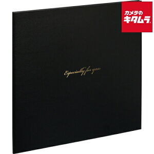 iJoV VML-101-D ʐ^䎆 XNGA L 2 ubN