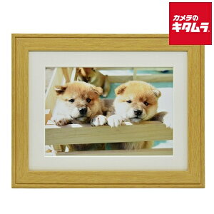 tWJ[ ؐz YM-9  ؒn s[1|2Tԁt