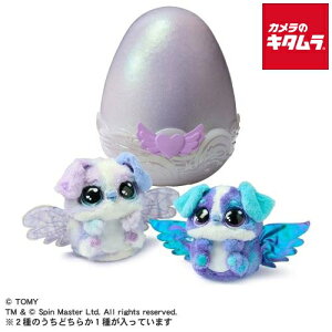 ^Jg~[ ܂āIE[ ACu pbpfB[ v[g Mtg NX}X a o[Xf[ p[eB[ Cxg ii w  j  ߋ  gC 蕨 s[1