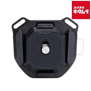 Falcam 3142A F38 �V�����_�[�X�g���b�v�o�b�N���pV2�L�b�g