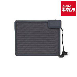 ACXI[} fXNq[^[ DEH-45-T uE s[1Tԁt