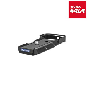 ItHg LPS-ZV-E10(BK) ObvJv[g