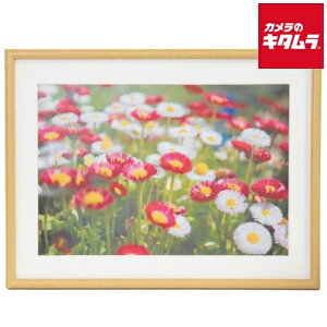 tWJ[ ؐz M20 ؒn W4 s[1|2Tԁt