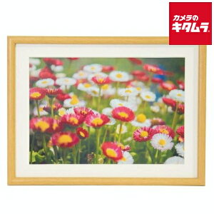 tWJ[ ؐz M20 ؒn A4 s[2|3Tԁt