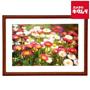 tWJ[ ؐz M21 uE W6 s[1|2Tԁt