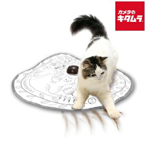 L Lb`E~[ECtE[EL2 L̂ s[2Tԁt