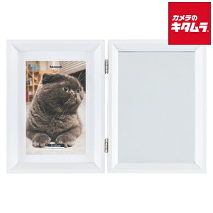 iJoV F-TW-117-W tHgt[ 2L/KG 2 zCg