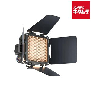ZHIYUN FIVERAY M20 COMBO LED���C�g