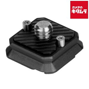 Falcam 2529B F22 �N�C�b�N�����[�X�g�b�v�v���[�g �u���b�N