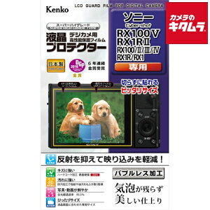 �y�l�R�|�X�z �P���R�[ KLP-SCSRX100M5 �t���v���e�N�^�[ �\�j�[100V/RX1RII�p �s�[����2�|3�T�ԁt