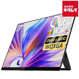 EHOMEWEI 17^ tj^[ QLED WQXGA RQ-170NW [J[FX [J[ۏؑΉ sǑΉ [J[l v[g Mtg SwitchΉ Q[j^[ ^ y WindowsΉ ݑΖ e