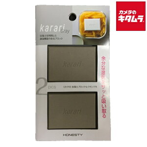 アネスティ 珪藻土ブロック レクタングル 2pcs Karari HO1822 グレー 《納期約2週間》