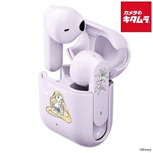 PGA �C���i�[�C���[�^ ���S���C�����X �X�e���I�C���z�� PG-DBTE18TW4RPZ ���v���c�F��