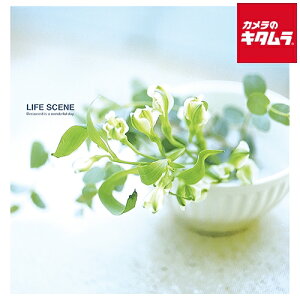 iJoV LPF-1001-B tGAo LTCY CtV[ u[