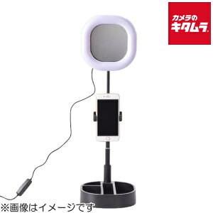 �G�c�~ E-2283 VLOG �L�����~���C�g �X�N�G�A �u���b�N �s�[����1�|2�T�ԁt