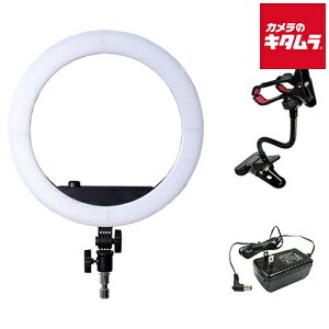 LPL LED���C�g �r���[�e�B�[�t�F�C�X VLR-F300XP �s�[����3�|4�T�ԁt