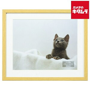 iJoV F-SW-112-N ؐʐ^z 6 i`