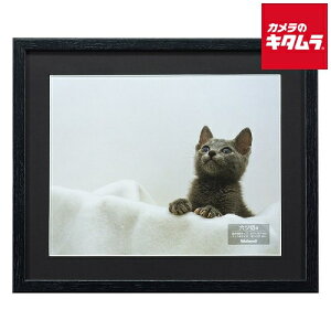 iJoV F-SW-112-D ؐʐ^z 6 ubN