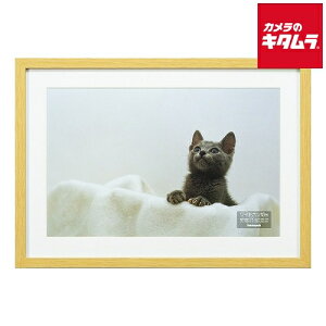 iJoV F-SW-113-N ؐʐ^z W6 i`