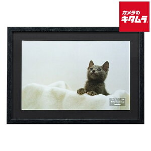 iJoV F-SW-113-D ؐʐ^z W6 ubN