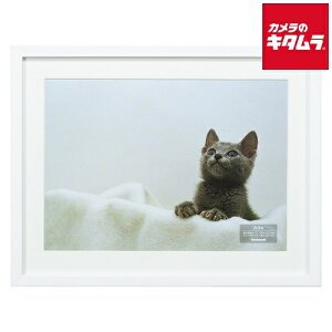 iJoV F-SW-114-W ؐʐ^z A4 zCg