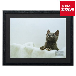 iJoV F-SW-114-D ؐʐ^z A4 ubN