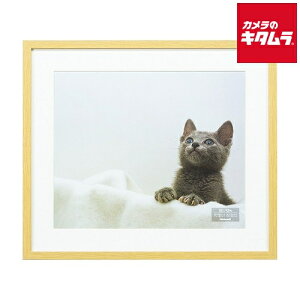 iJoV F-SW-115-N ؐʐ^z 4 i`