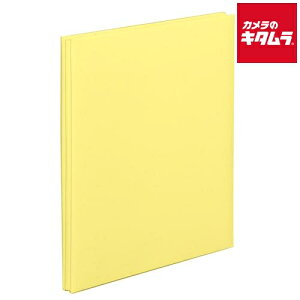 iJoV AH-A4F-142-Y XEB[gJ[Y 100N䎆Ao A4TCY CG[