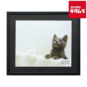 iJoV F-SW-115-D ؐʐ^z 4 ubN