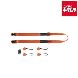 s[NfUC L-FL-3 [V ACrX