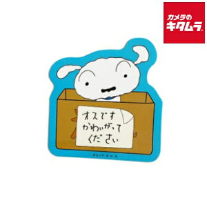 X[vlbg KY1124 XebJ[ N񂿂 V/IXłĂ