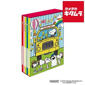 iJoV A-PL-1031-12 5BOX|PbgAo Xk[s[ B