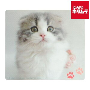 TTvC }EXpbh MPD-215E XReBbVtH[h