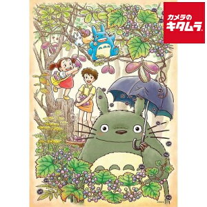 GXJC 500-273 ƂȂ̃gg WO\[pY500s[X ƂȂ̃gg ς̂ꂽ s[t