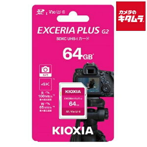 LINVA KSDH-B064G SDJ[h 64GB s[t