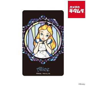 PGA PG-DSTK34ALC XehOX XebJ[ ICJ[hΉ AX s[t