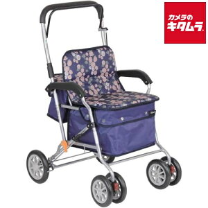 Ka쏊 SIST02-NV 艟 {NXg lCr[