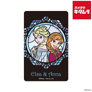 PGA PG-DSTK38FRZ XehOX XebJ[ ICJ[hΉ AiƐ̏ s[t