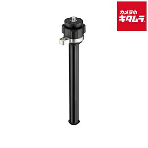 }tbg BFRLVLC befree xOZ^[|[